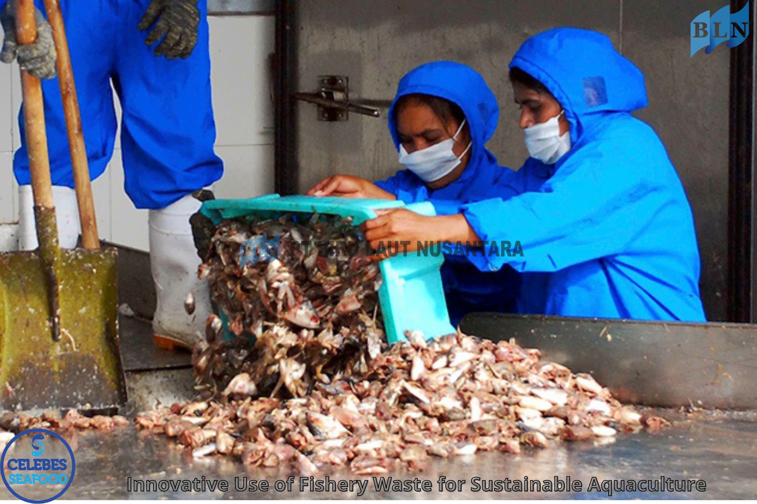 Innovative Use of Fishery Waste for Sustainable Aquaculture